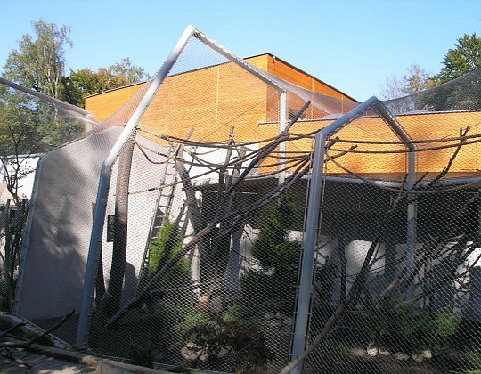 projekt